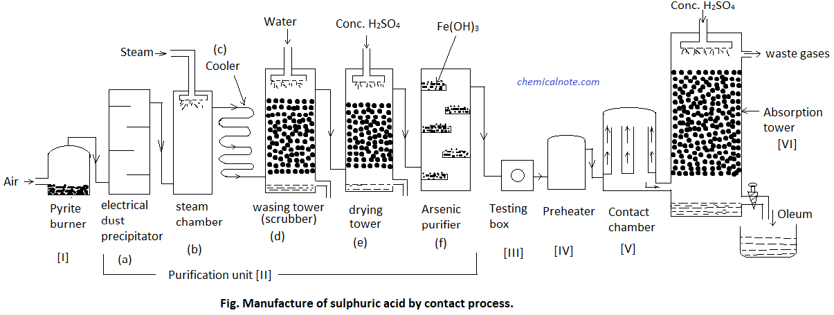 Contact Process